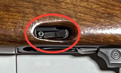 ruger.jpg